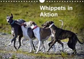 Whippets in AktionAT-Version (Wandkalender 2018 DIN A4 quer) von Redl,  Ula