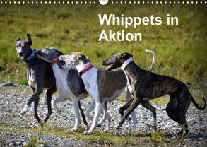 Whippets in AktionAT-Version (Wandkalender 2019 DIN A3 quer) von Redl,  Ula