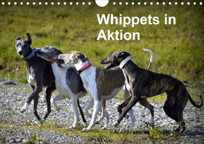 Whippets in AktionAT-Version (Wandkalender 2021 DIN A4 quer) von Redl,  Ula