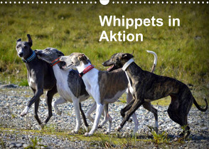 Whippets in AktionAT-Version (Wandkalender 2022 DIN A3 quer) von Redl,  Ula