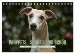 WHIPPETS – SCHNELL UND SCHÖN (Tischkalender 2024 DIN A5 quer), CALVENDO Monatskalender von Kassat Fotografie,  Nicola