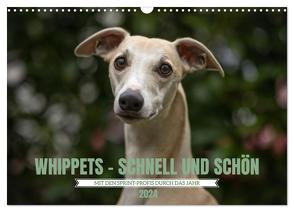 WHIPPETS – SCHNELL UND SCHÖN (Wandkalender 2024 DIN A3 quer), CALVENDO Monatskalender von Kassat Fotografie,  Nicola
