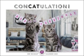 Whiskas Katzenkalender 2023. Foto-Wandkalender mit süßen Katzen und lustigen Geschichten. Wandkalender 2023 in schönem Design. Bildkalender 2023 Querformat 45×30 cm. von Heye