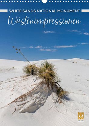 WHITE SANDS NATIONAL MONUMENT Wüstenimpressionen (Wandkalender 2022 DIN A3 hoch) von Viola,  Melanie