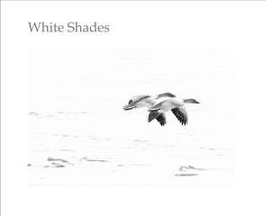 White Shades von Engels,  Werner