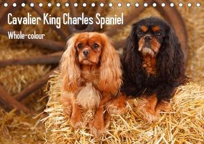 Whole-colour Cavalier King Charles Spaniel (Tischkalender 2019 DIN A5 quer) von Wegner,  Petra