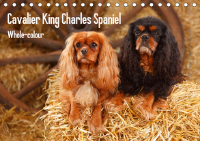 Whole-colour Cavalier King Charles Spaniel (Tischkalender 2020 DIN A5 quer) von Wegner,  Petra