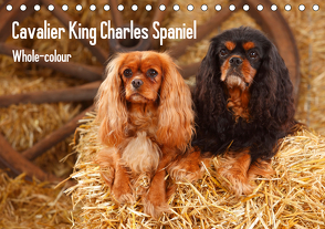 Whole-colour Cavalier King Charles Spaniel (Tischkalender 2021 DIN A5 quer) von Wegner,  Petra