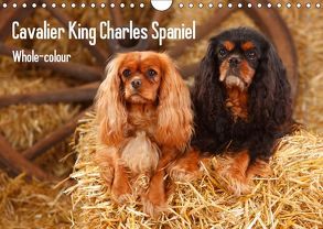 Whole-colour Cavalier King Charles Spaniel (Wandkalender 2019 DIN A4 quer) von Wegner,  Petra