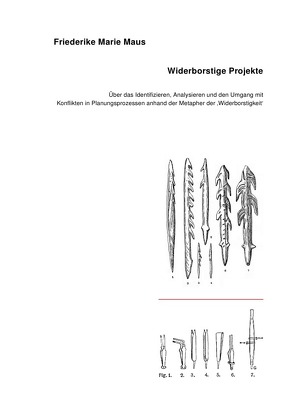 Widerborstige Projekte von Maus,  Friederike Marie