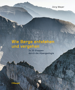 Wie Berge entstehen und vergehen von Buckingham,  Thomas, Metz,  Denis, Meyer,  Jürg