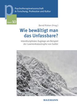 Wie bewältigt man das Unfassbare? von Rieken,  Bernd