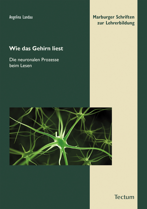 Wie das Gehirn liest von Beck ,  Lothar A., Landau,  Angelina, Marburg,  Zentrum für Lehrerbildung der Philipps-Universität, Vogel,  Ulrich