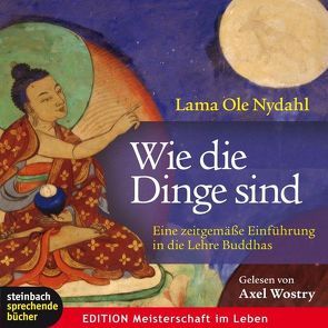 Wie die Dinge sind von Nydahl,  Lama Ole, Wostry,  Axel