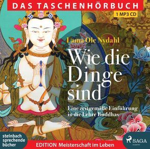 Wie die Dinge sind von Nydahl,  Lama Ole, Wostry,  Axel