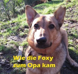 Wie die Foxy zum Opa kam von Laas,  Peter