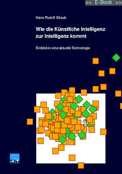 Wie die Künstliche Intelligenz zur Intelligenz kommt von Straub,  Hans Rudolf