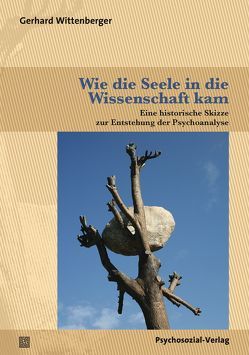 Wie die Seele in die Wissenschaft kam von Wittenberger,  Gerhard