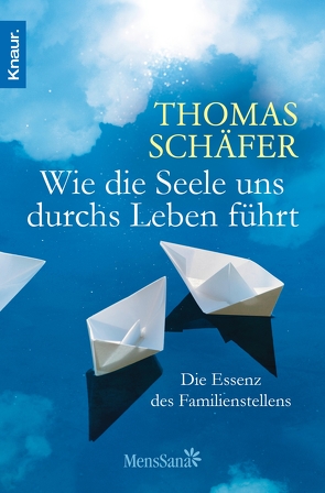 Wie die Seele uns durchs Leben führt von Schaefer,  Thomas