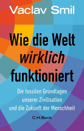 Wie die Welt wirklich funktioniert von Siber,  Karl Heinz, Smil,  Vaclav