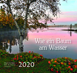 Wie ein Baum am Wasser 2020