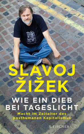 Wie ein Dieb bei Tageslicht von Genschow,  Karen, Žižek,  Slavoj