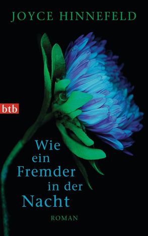 Wie ein Fremder in der Nacht von Finke,  Astrid, Hinnefeld,  Joyce