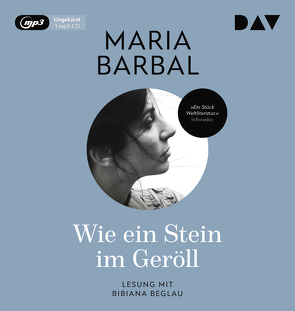 Wie ein Stein im Geröll von Barbal,  Maria, Beglau,  Bibiana, Nottebaum,  Heike