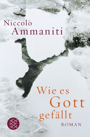 Wie es Gott gefällt von Ammaniti,  Niccolò, Schmidt,  Katharina