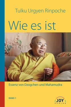 Wie es ist – Band 1 von Barthel,  Kerstin, Urgyen Rinpoche,  Kyabje