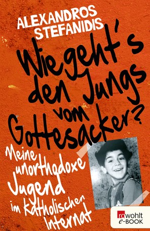 Wie geht’s den Jungs vom Gottesacker? von Stefanidis,  Alexandros