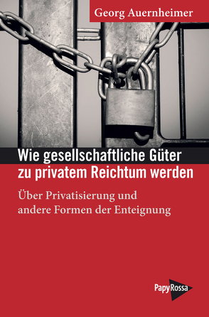 Wie gesellschaftliche Güter zu privatem Reichtum werden von Auernheimer,  Georg