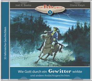 Wie Gott durch ein Gewitter wirkte (Hörbuch) von Beeke,  Joel R., Kleyn,  Diana