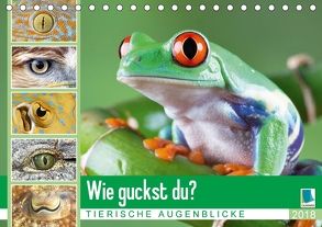 Wie guckst du? Tierische Augenblicke (Tischkalender 2018 DIN A5 quer) von CALVENDO