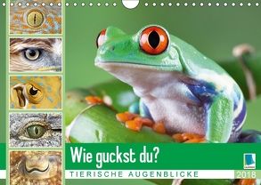 Wie guckst du? Tierische Augenblicke (Wandkalender 2018 DIN A4 quer) von CALVENDO