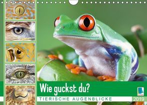 Wie guckst du? Tierische Augenblicke (Wandkalender 2019 DIN A4 quer) von CALVENDO