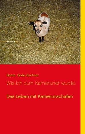 Wie ich zum Kameruner wurde von Bode-Buchner,  Beate