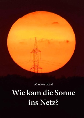 Wie kam die Sonne ins Netz? von Real,  Markus