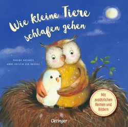 Wie kleine Tiere schlafen gehen von Rachner,  Marina, zur Brügge,  Anne-Kristin