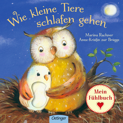 Wie kleine Tiere schlafen gehen von Rachner,  Marina, zur Brügge,  Anne-Kristin