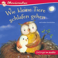 Wie kleine Tiere schlafen gehen und andere Geschichten von Gawlich,  Cathlen, Graudus,  Konstantin, Gustavus,  Frank, Icks,  Sascha, Illert,  Ursula, Kaempfe,  Peter, Kaminski,  Stefan, Khallaf,  Hanna, Louisan,  Annett, Lütje,  Susanne, Maar,  Paul, Moll,  Anne, Poppe,  Kay, Rachner,  Marina, Rohrbeck,  Oliver, Schmidt,  Hans-Christian, zur Brügge,  Anne-Kristin