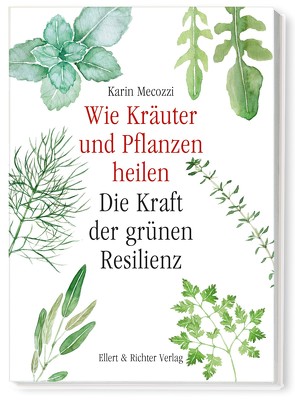 Wie Kräuter und Pflanzen heilen von Mecozzi,  Karin