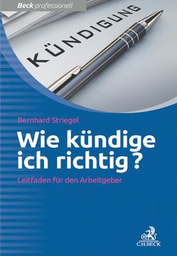 Wie kündige ich richtig? von Striegel,  Bernhard