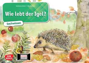 Wie lebt der Igel? Kamishibai Bildkartenset. von Klars,  Monika, Stöckl-Bauer,  Katharina