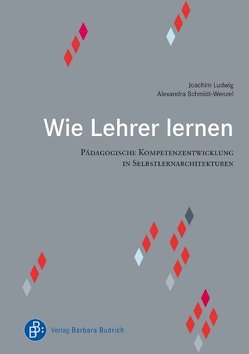 Wie Lehrer lernen von Ludwig,  Joachim, Schmidt-Wenzel,  Alexandra