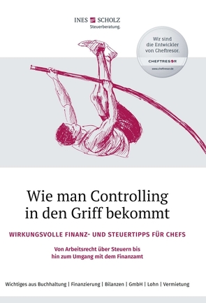 Wie man Controlling in den Griff bekommt von Scholz,  Ines