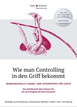 Wie man Controlling in den Griff bekommt von Scholz,  Ines