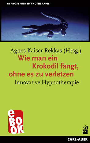 Wie man ein Krokodil fängt, ohne es zu verletzen von Rekkas,  Agnes Kaiser