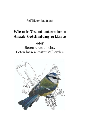 Wie mir Nîzamî unter einem Anaab Gottfindung erklärte von Kaufmann,  Rolf Dieter