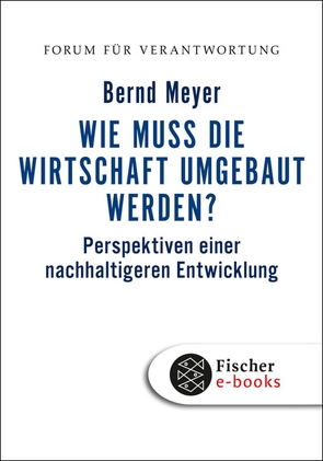 Wie muss die Wirtschaft umgebaut werden? von Meyer,  Bernd, Wiegandt,  Klaus